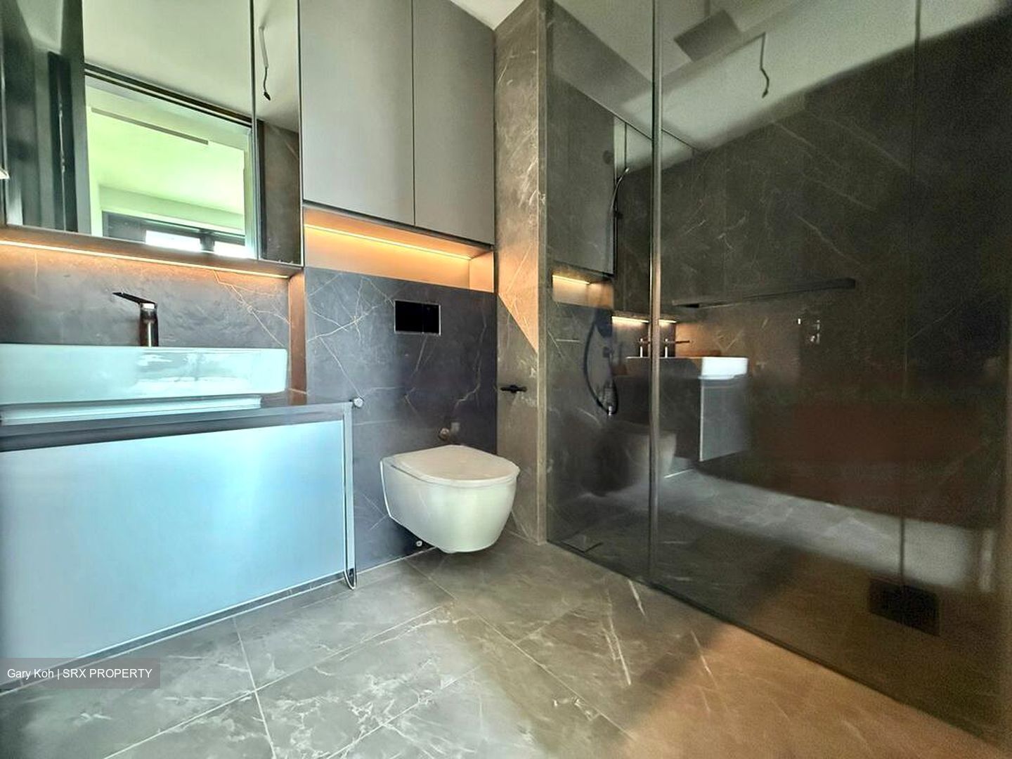Irwell Hill Residences (D9), Apartment #459058851